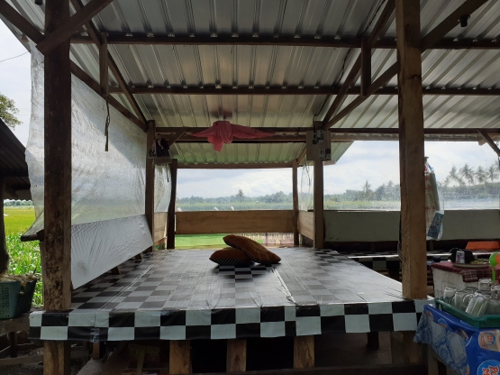 Dokpri_salah satu kedai jagung di Desa Rhee yang menyediakan tempat sholat dan kamar mandi dengan view sawah