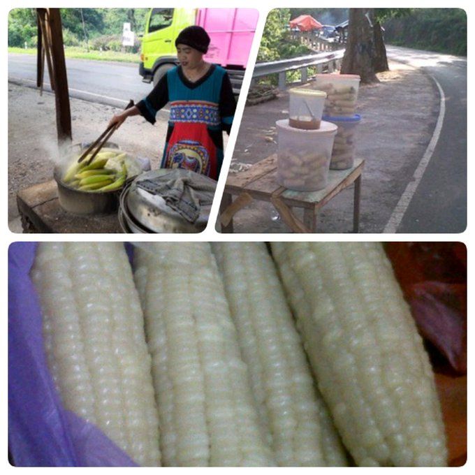 Dokumen Pribadi_Jagung Rebus Hangat di Desa Rhee dan Desa Teka Sire di Pulau Sumbawa