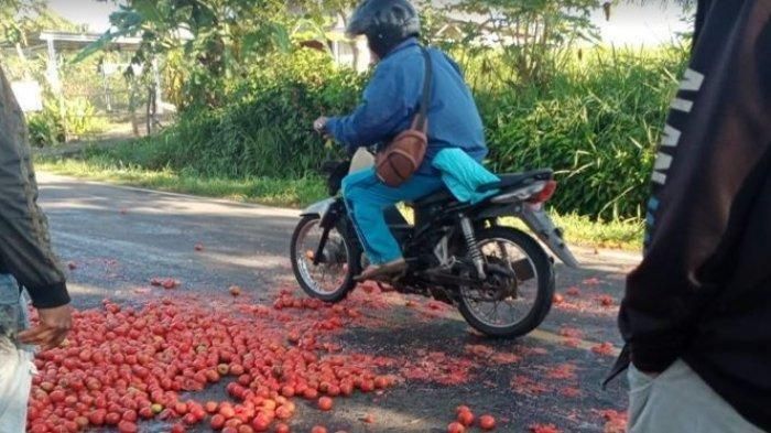 Petani Tomat Pagaralam membuang hasil panen di jalan [Foto: Sripo Wawan Septiawan via Tribunnews]