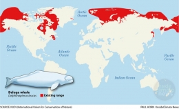 Sumber gambar: insideclimatenews.org