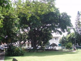 Dokumentasi pribadi. Di belakang rindangnya pepohonan disana, adalah rumah Raden Saleh. Masih terasa segar dengan rindang nya hijau pepohonan .....