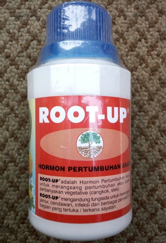 Hormon akar (Sumber : www.bukalapak.com)