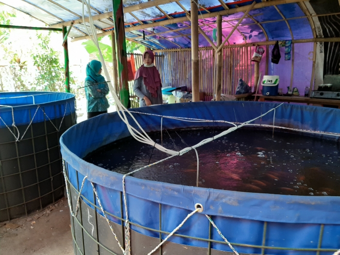 Kolam berteknologi Bioflok yang dikembangkan di Kampung Nila Slilir, Kota Malang|Dok. Bolang