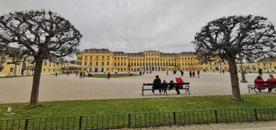 Halaman Istana Schoenbrunn yg sangat luas. Sumber: koleksi pribadi