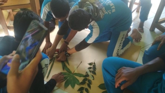 Saat Siswa-siswi melakukan identifikasi tumbuhan. (Foto : Yayasan Palung).