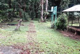 Taman Anggrek Bancea (Dok. Pribadi)