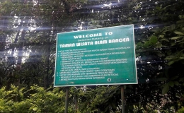 Taman Anggrek Bancea (Dok. Pribadi)