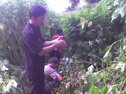 Menanam kayu di bantaran sungai Lau Dah, 24/01/2010 (Dokpri)
