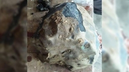 Batu meteorit (cnnindonesia.com)