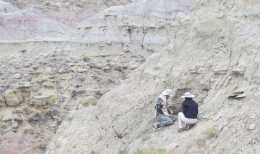 Paleobotanist NMNH Dr. Scott Wing & Dr. Vera Korasidis mengumpulkan sampel serbuk sari di Wyoming dari batu berusia 56 Juta tahun (dok. Dr. Jim Cornette)