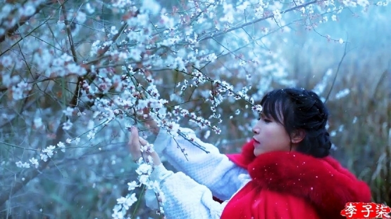 Li Ziqi dan keindahan kampung halamannya saat musim dingin. Cakep ya. www.liziqishop.com