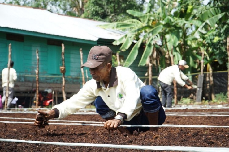 Mewujudkan pertanian alami. Ilustrasi salah satu petani yang mengikuti SLPG(Dok. Badan Restorasi Gambut, via Kompas.com)