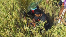 Upacara metik padi di Jawa Timur. Sumber: Jatimnet.com