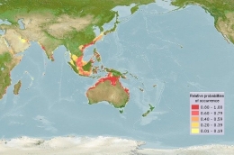 Gambar 2. Peta Distribusi Dugong. Sumber: wiki.nus.edu.sg