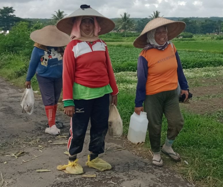 Bukan tas Gucci atau Channel. Foto sendiri
