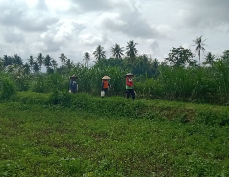 Foto sendiri.