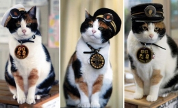 Sumber : http://mengharukansekali.blogspot.com - Kucing Tama di Stasiun Kishi