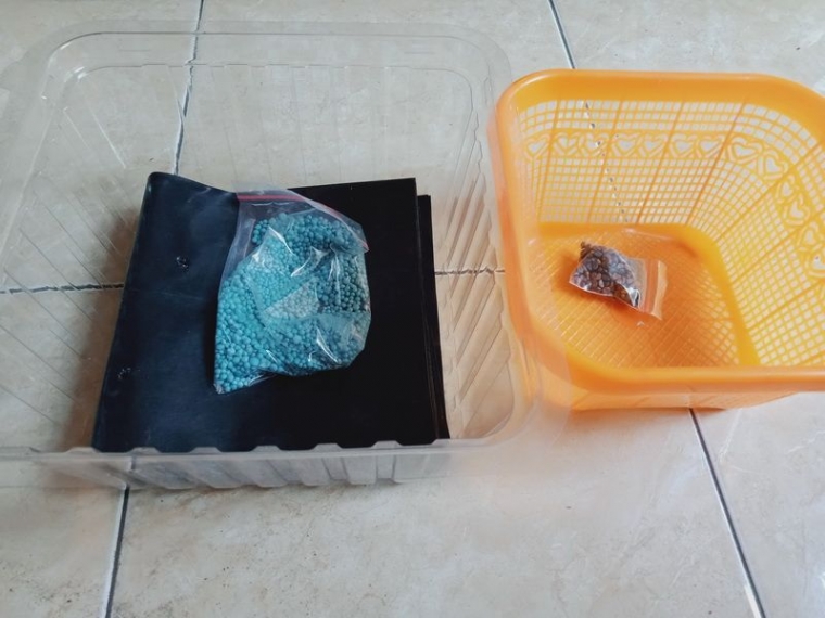 Wadah hantaran makanan, polibag, pupuk NPK, dan 10 gram benih kangkung. Foto sendiri