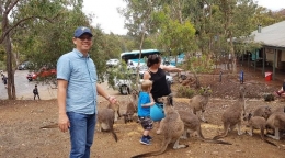 Memberi Makan Kanguru di Taman Nasional John Forrest | Dokumen Pribadi