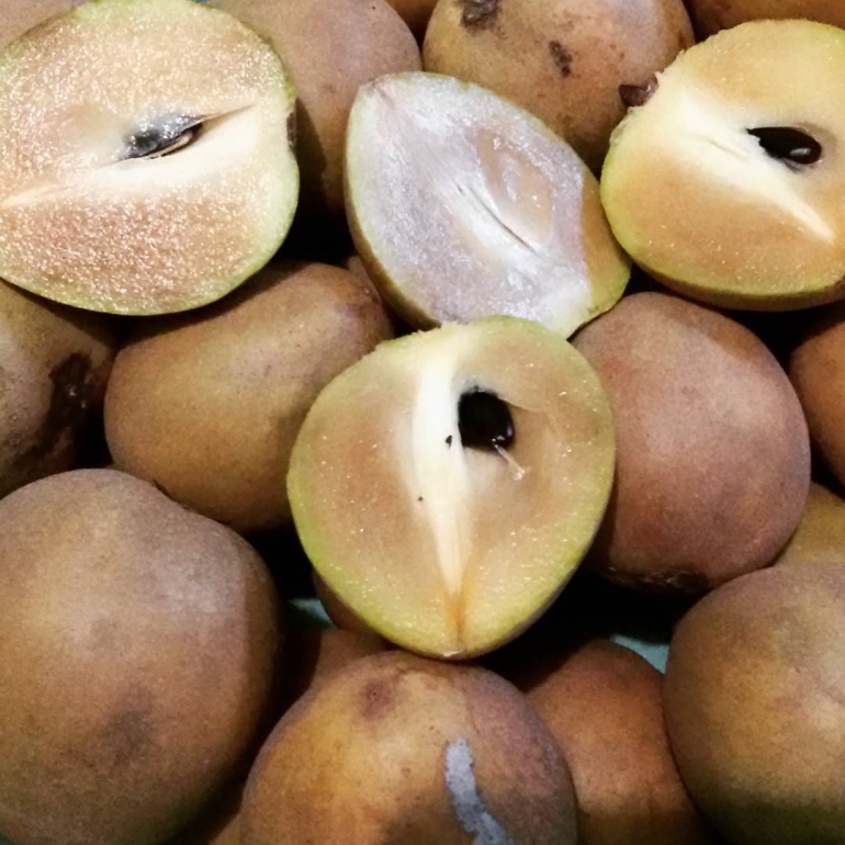 Deskripsi : Sawo Citali Sumedang I Sumber Foto : IG @Wchan11