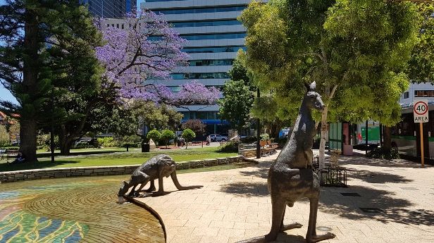 Taman Kota di Supreme Court Garden Perth | Dokumen Pribadi