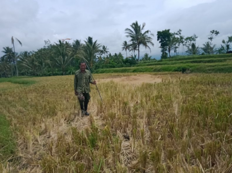 Akhirnya menemukan sumber suara. Dokumen pribadi.