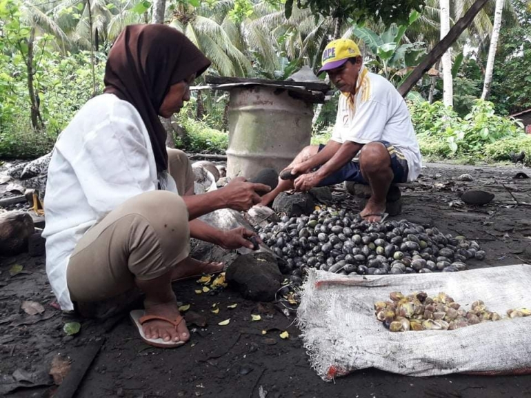 Mama dan Papa sedang menumbuk Buah Kenari | Dokumentasi Pribadi