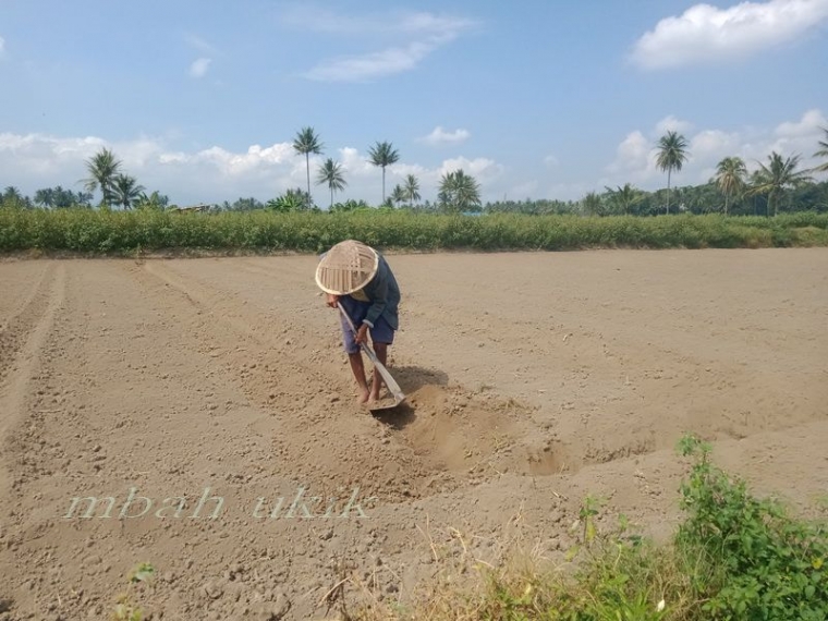 No: 4 Lahan sudah bersih. Dokumen pribadi