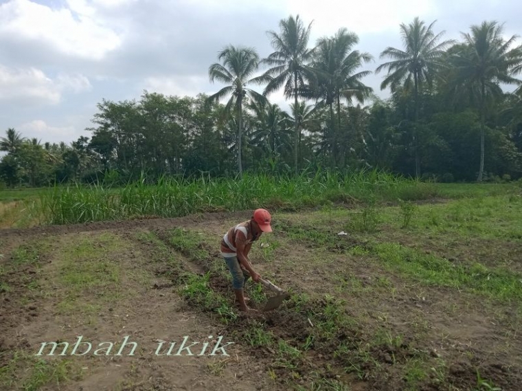 No: 3 Tata kembali parit. Dokumen pribadi