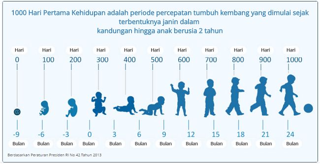 Gambaran 1000 HPK yang selalu menjadi perhatian para ibu (Sumber : Kemenkes)