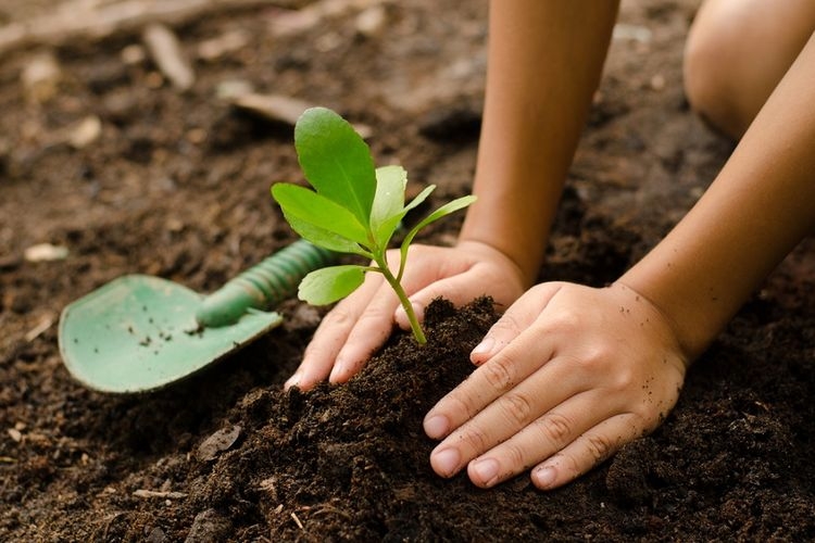 Menjaga tanah tetap hidup juga bermakna melindungi keanekaragaman hayati tanah. | Sumber: Shutterstock via Kompas.com