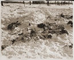 Pembantaian Malmedy 1944 (Sumber: ushmm.org)