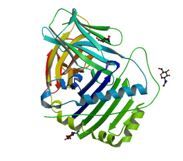 Gambar  peptida antigen