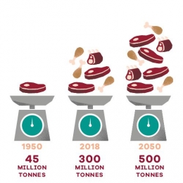 Peningkatan konsumsi daging dunia. Sumber : FAO; slowmeat