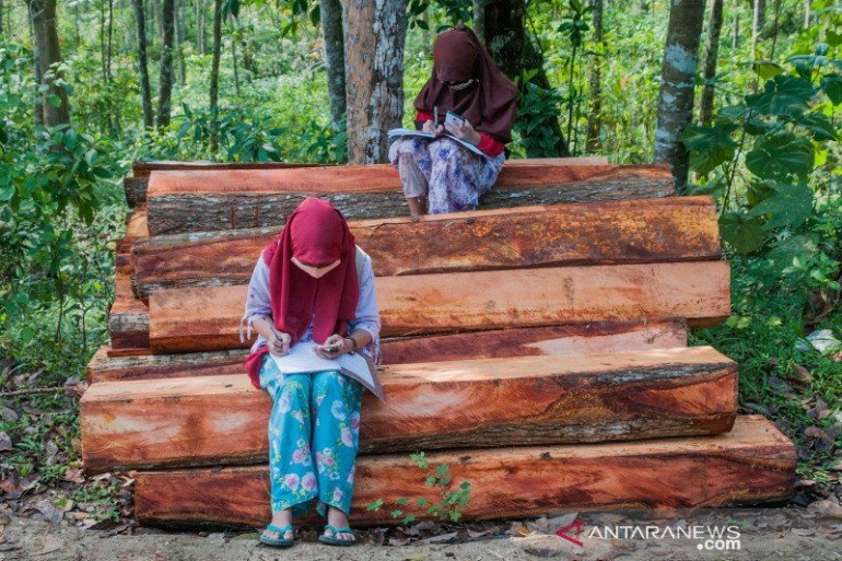 suasana belajar di tempat terpencil (kaltim.antaranews.com)