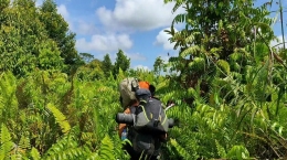 Teman-teman dari tim survei saat memasuki wilayah hutan desa, rata-rata hutan desa tempat mereka survei adalah hutan rawa gambut. (Foto dok : YP). 