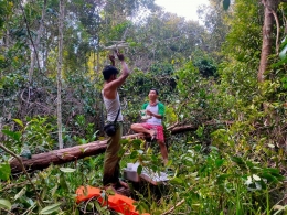 Tim survei juga menggunakan drone untuk melihat kerapatan vegetasi hutan. (Foto dok : Yayasan Palung).