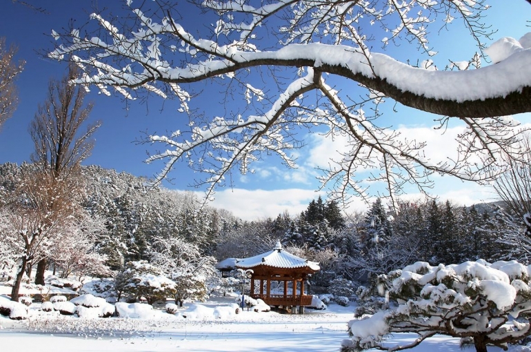 Musim Salju Akhir Tahun Dikunjungi Wisatawan Dunia. Sumber Foto: visitkorea.or.id
