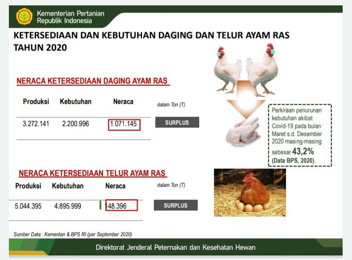 ketersediaan daging ayam dan telur Indonesia 2020 | agropustaka.id