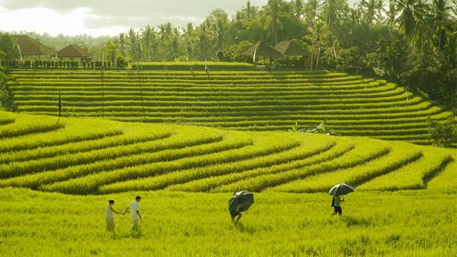 lokasi syuting 'Teman Tapi Menikah 2' dengan menunjukan sisi lain dari Bali/tangkapan layar