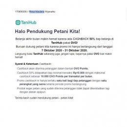 Email marketing mengenai Tanihub | Dokumentasi Pribadi.