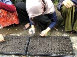 Dokpri| Gambar di atas menunjukan ibu-ibu sedang melakukann pengolahan tanah dan penyemaian bibit ,para ibu-ibu ini sangat antusisas terhadap pelatihan P2L