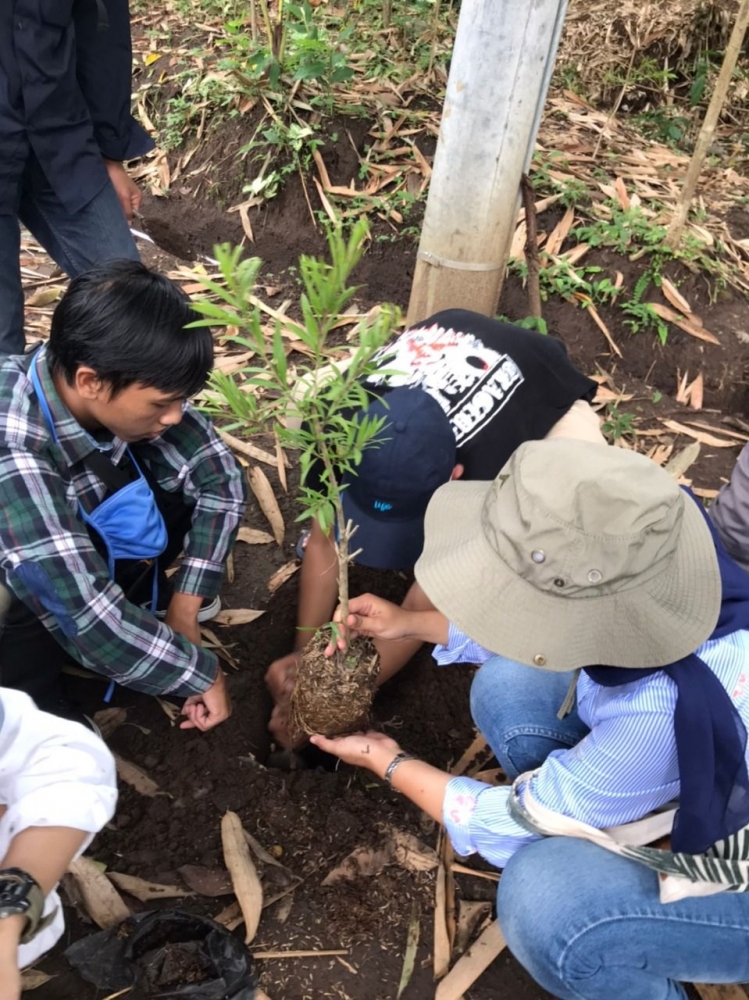  Mahasiswa Universitas Negeri Malang dalam kegiatan menanam pohon di sekitar Sumber Umbulan