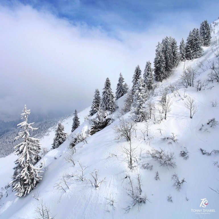 Panorama lereng gunung dari atas gondola. Sumber: koleksi pribadi
