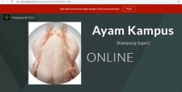 Halaman Depan website Ayam Kampus [dok MF, 2020]
