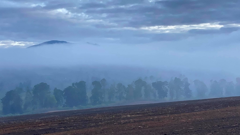 Hutan pinus berselimut kabut di Kacinambun Highland (Dok. Zia Cafe)