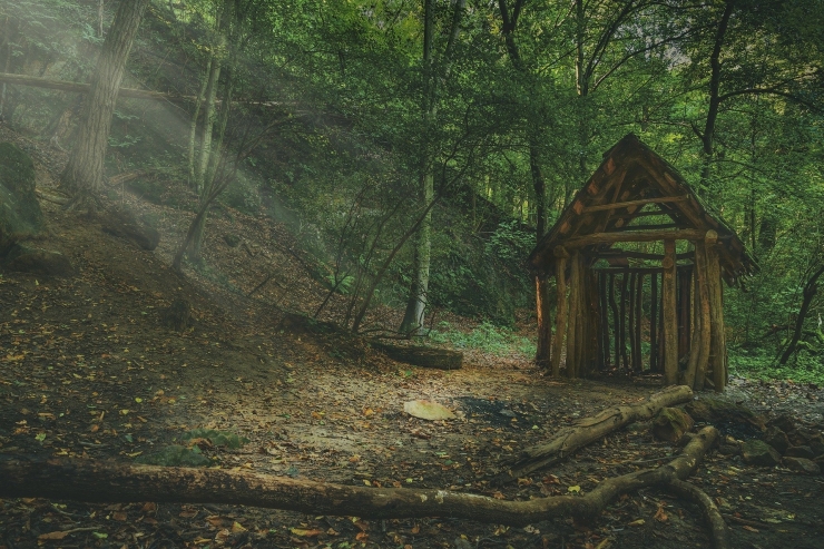 ilustrasi rumah di hutan. (sumber: pixabay.com/henryleester)