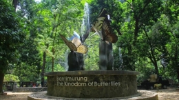 The Kingdom of Butterfly Sumber : travel.tribunnews.com