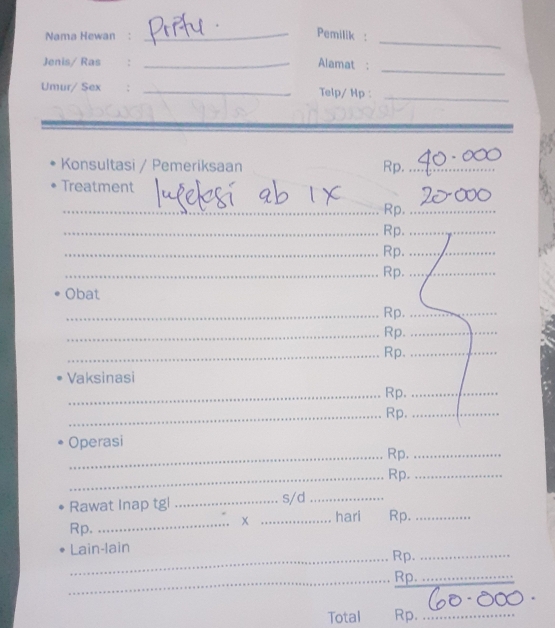 Biaya pengabobatan Pritu (Dokumentasi pribadi)
