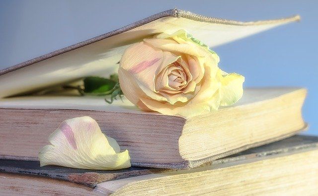 Ilustrasi Sebuah Buku dan Bunga Mawar (sumber gambar: pixabay.com)